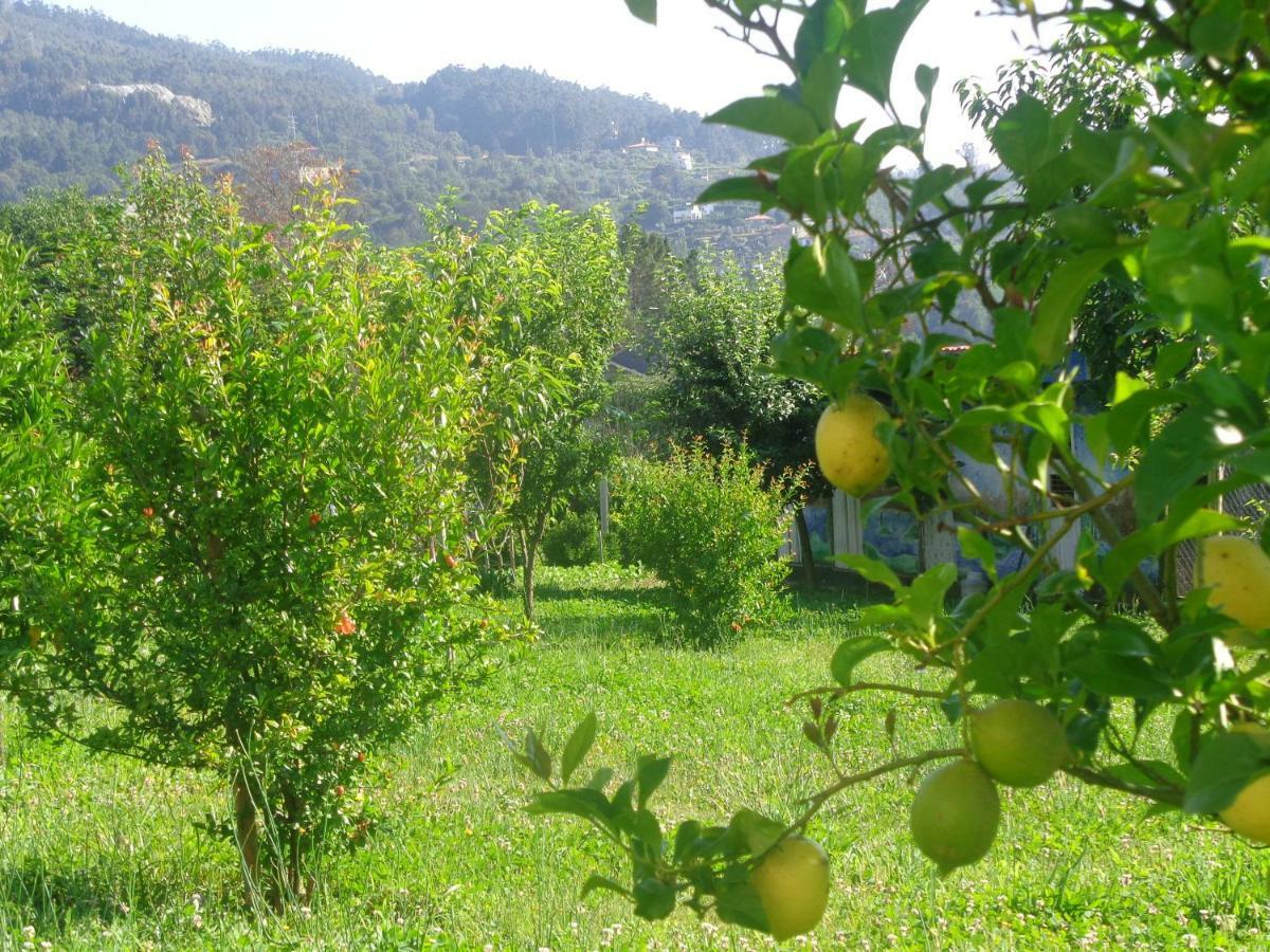 בית הארחה קסטלו דה פייבה 	Bernardes House מראה חיצוני תמונה
